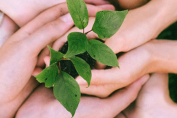 terzo settore? ecco perchè investire sulla formazione dei giovani