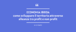 economia ibrida alleanza profit e nonprofit