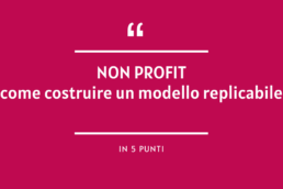 Non profit come costruire un modello replicabile