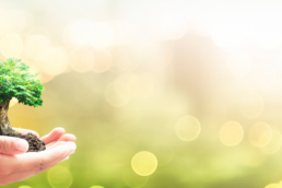 Monscleda la cooperativa villaggio di un territorio