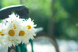 Bando Intraprendere nel sociale