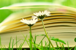 L'amore non muore, si trasforma. Valgiò