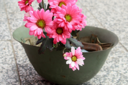 Guerra in Ucraina: cosa puoi fare tu insieme al mondo nonprofit?