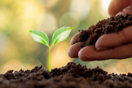 Fondazione Cattolica e la campagna 5x1000