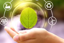 agenda 2030 sviluppo sostenibile