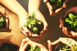 Una mano a chi sostiene: una fotografia sulle candidature