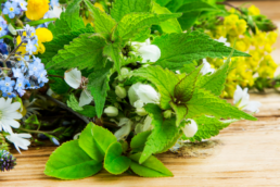 Nutrire le persone coltivando relazioni: l’esperienza di ORTO