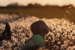 Cosa serve all'Italia per diventare un paese per giovani