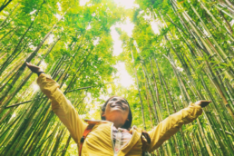 Verso: Verona per la Sostenibilità