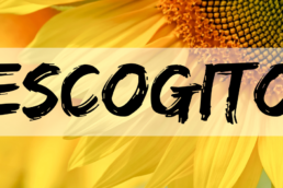 Giovani protagonisti del cambiamento